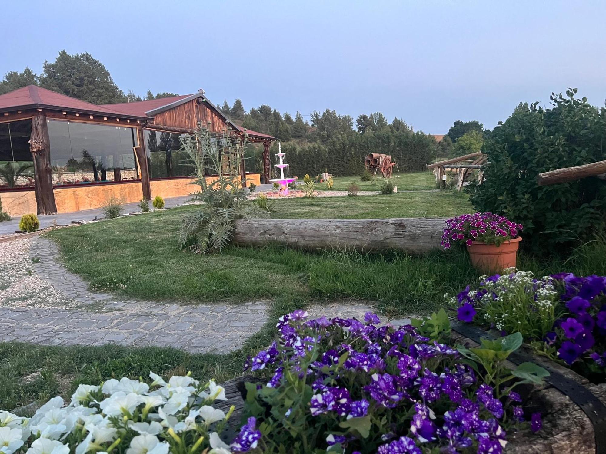 El Burgo De Osma Alojamiento Rural Villa Bagh Kültér fotó